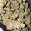 Thumbnail: zereal weed strain picture