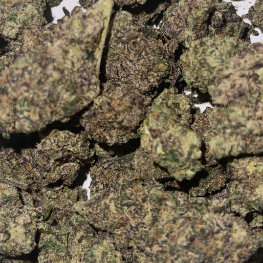 Sharklato cannabis flower photographed for the Bud Lords menu
