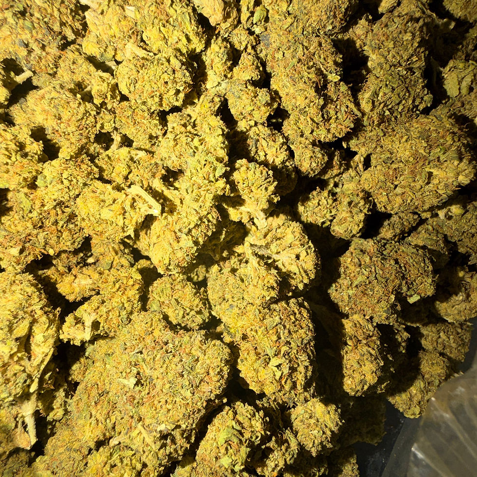 Close-up macro of a premium resinous hybrid bud representing OG Kush strain genetics.