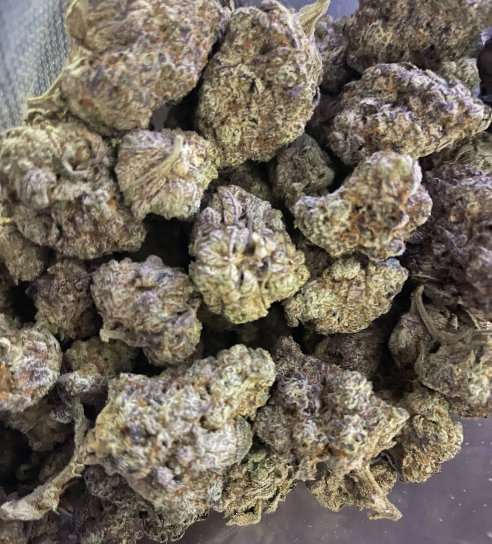 lemon cherry piss weed strain