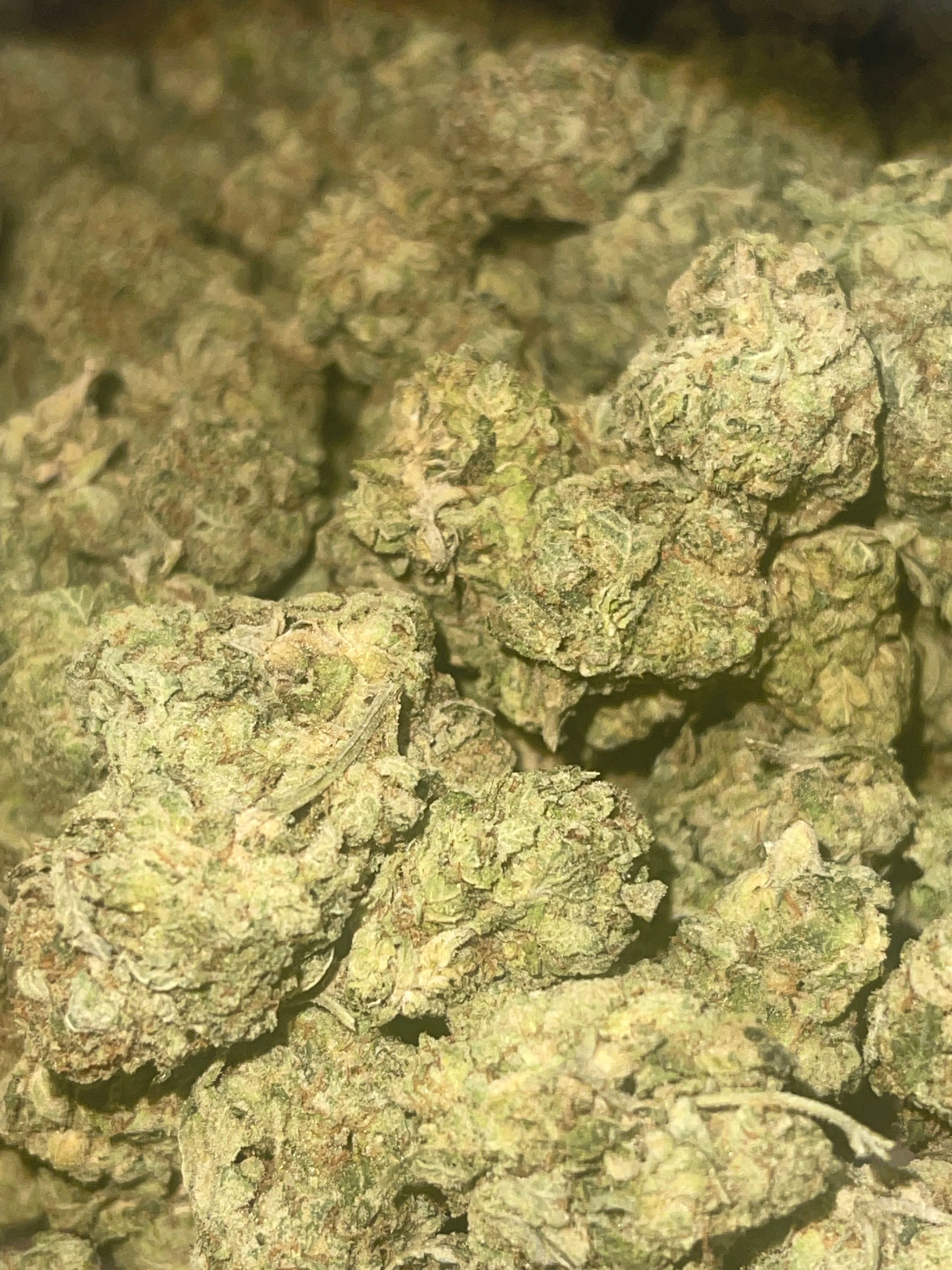 gorrilla glue #4 weed strain information and delivery in maryland, virginia and washingotn dc