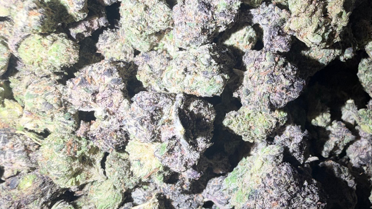 Bubblegumz flower from the Bud Lords menu