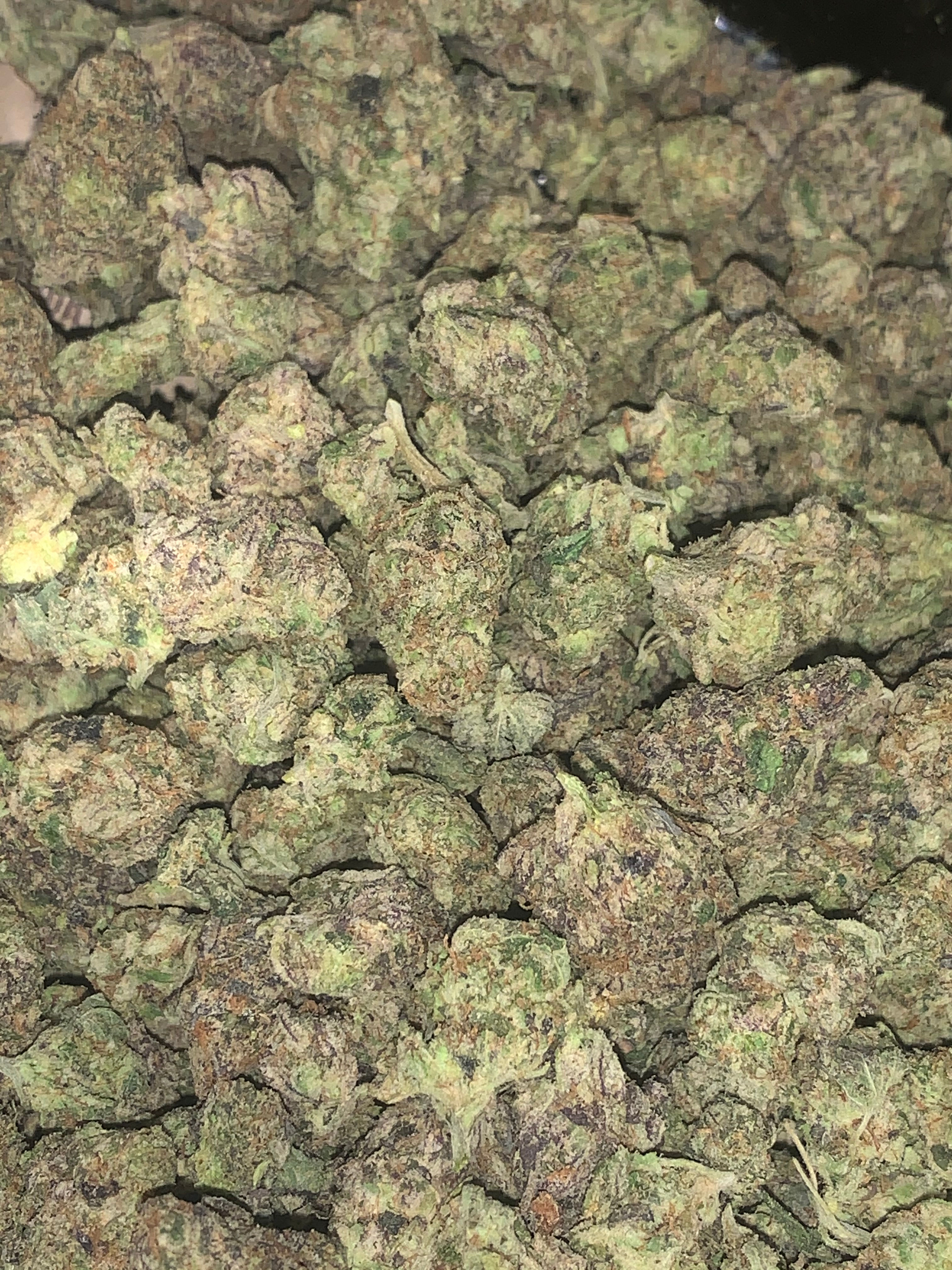 sugar biscuits weed strain