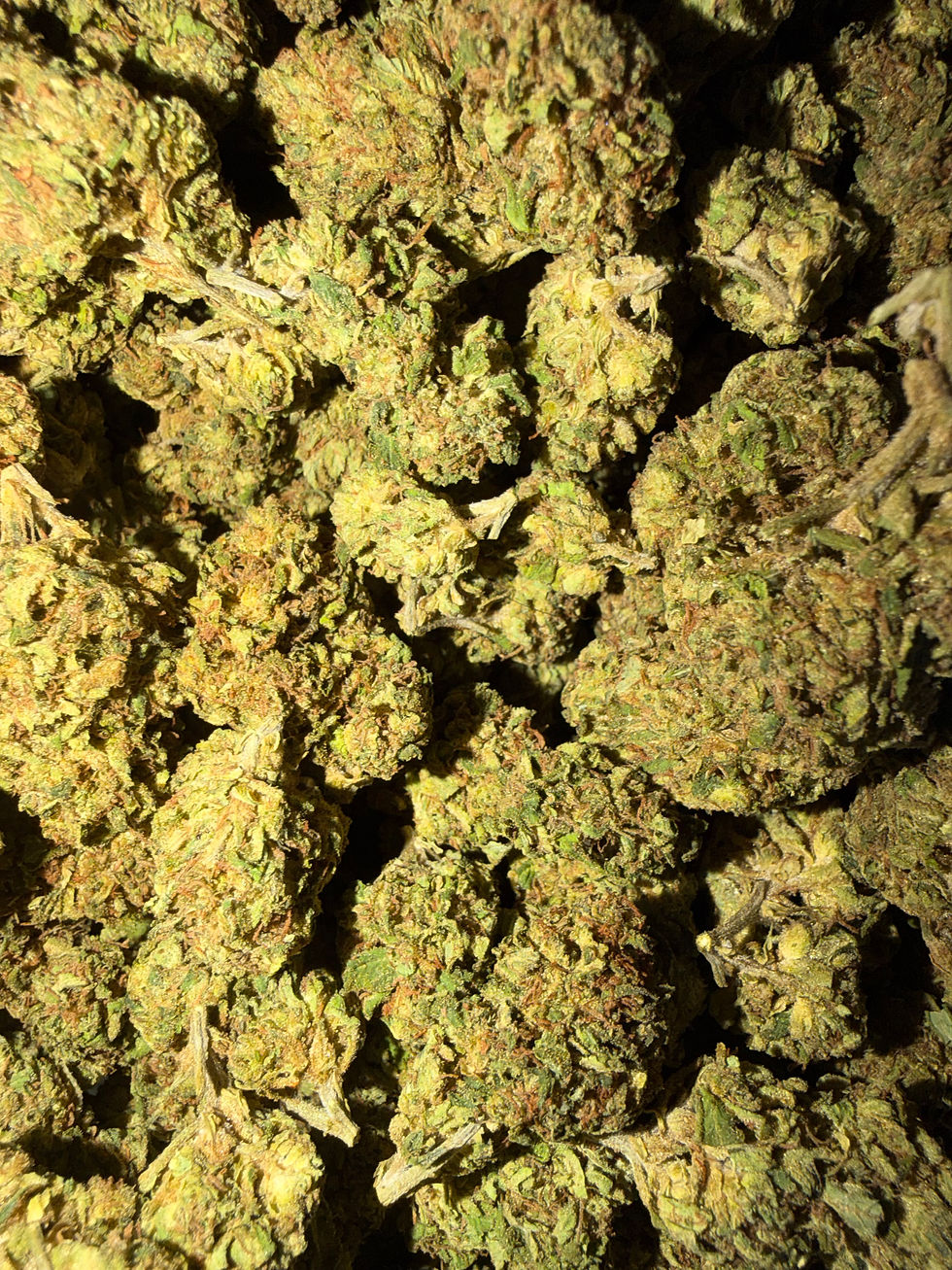Miniatura: Grape Gas