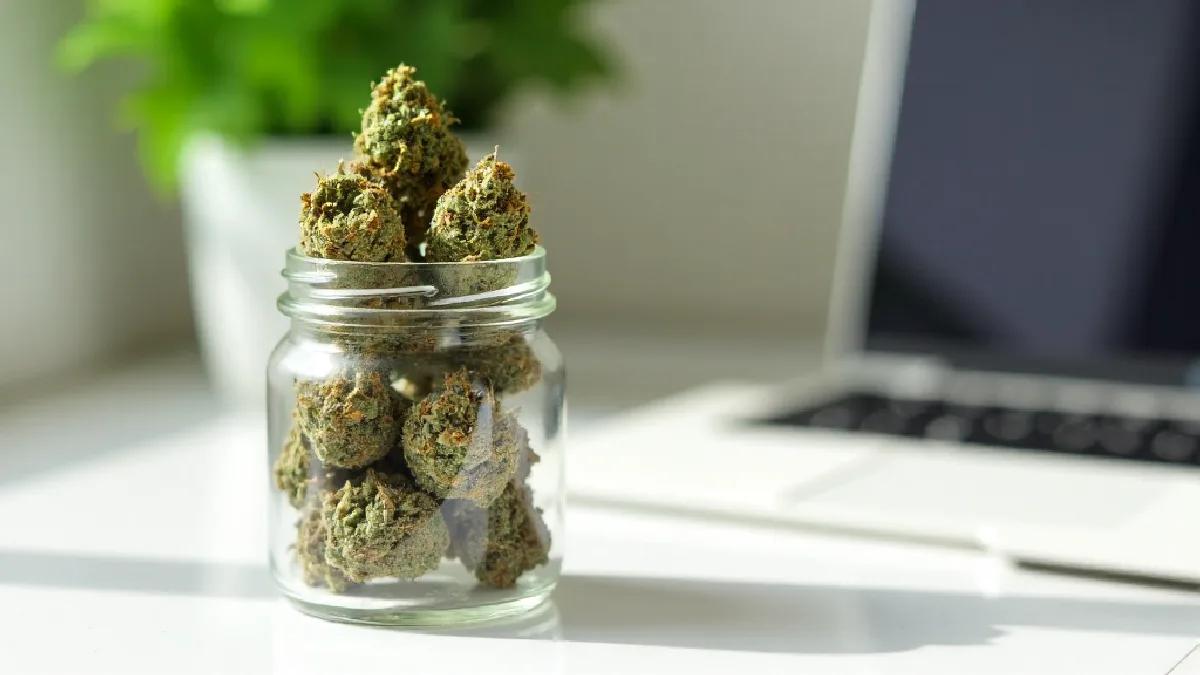 Financial charts on a digital tablet alongside a glass jar of cured cannabis flower, illustrating investment mechanisms in the sector.