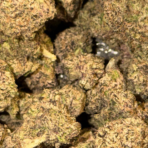 Space Candy cannabis flower representing the appearance of Cap Junky