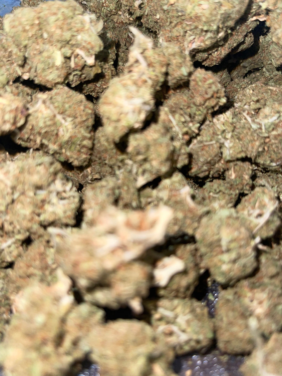 granimals weed strain