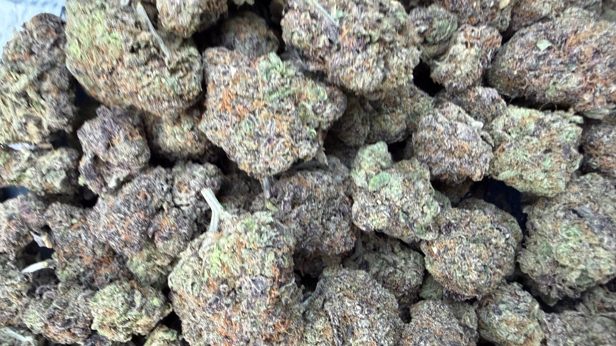 Close view of Horchata Swirl buds showing trichome coverage and color