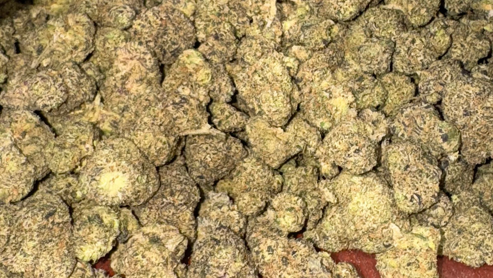 insane og weed strain