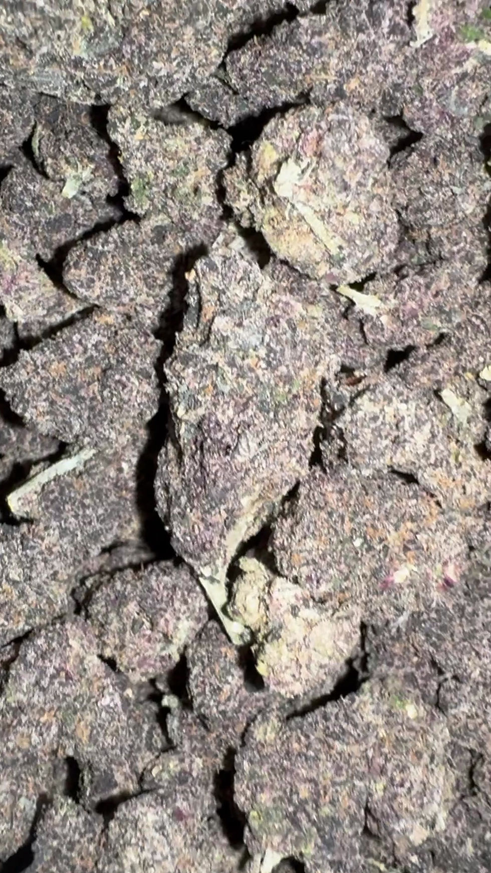 blackberry cream weed strain and cannabis delivery in maryland