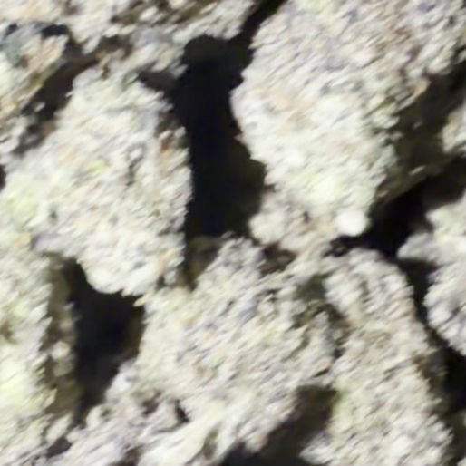 New Fire cannabis flower representing the appearance of Mk Ultra Strain Guide: Earthy Flavor x Deep Calm x Indoor Grow