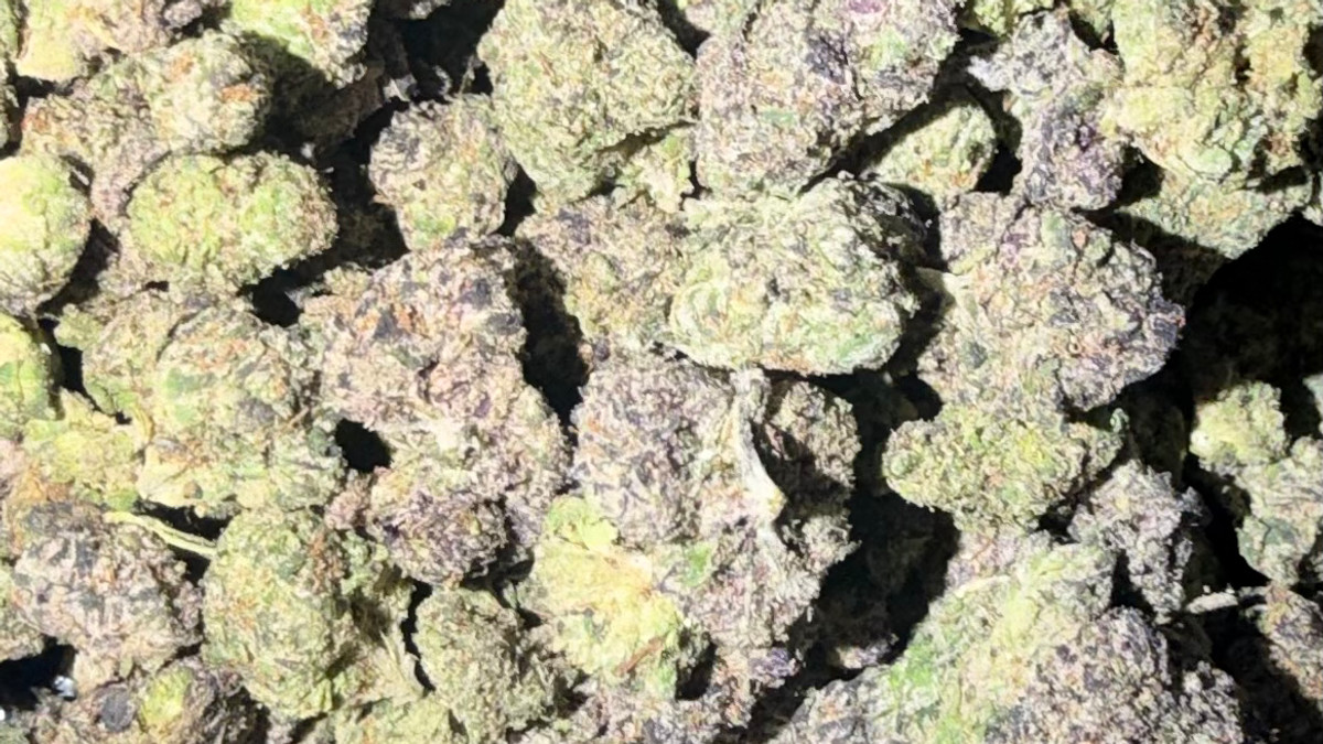 Bubblegumz flower from the Bud Lords menu