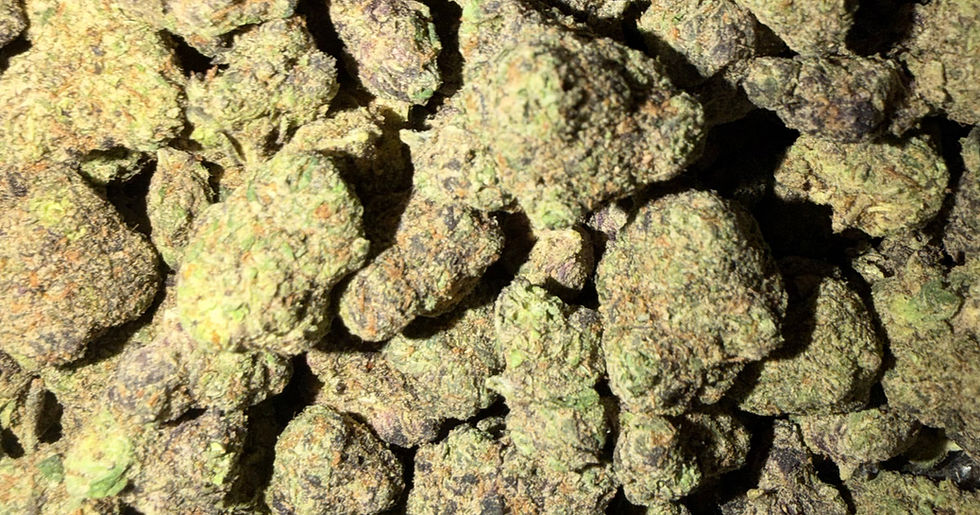 Rainbow Toads cannabis flower representing the appearance of Oreoz