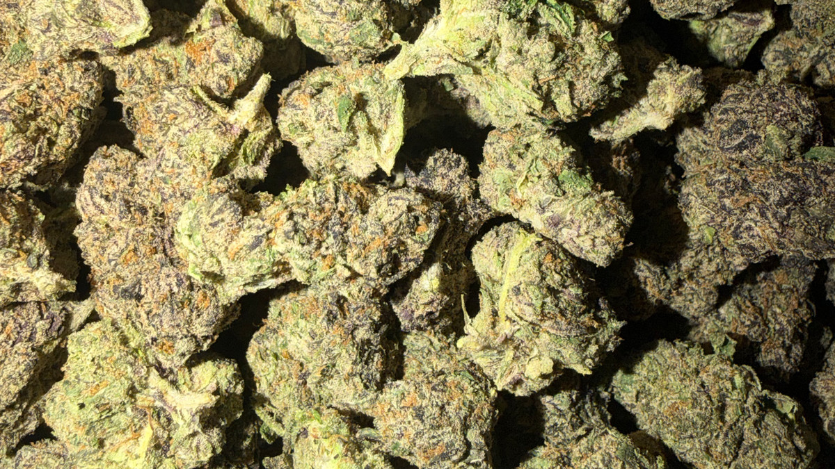 Close view of Space Donuts buds showing trichome coverage and color