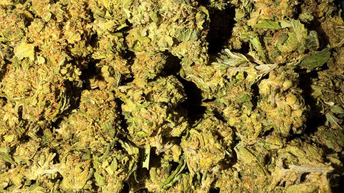 Pink Zerts flower from the Bud Lords menu