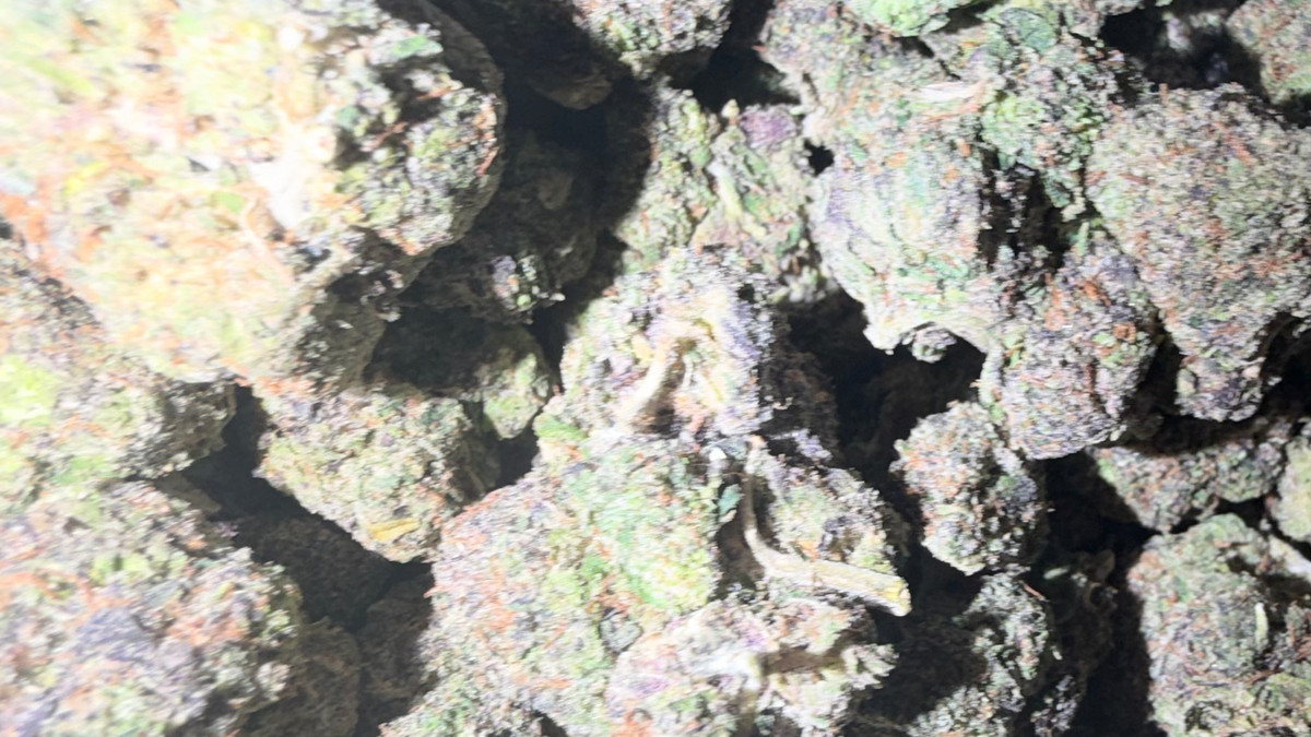 Close view of Mochi Runtz buds showing trichome coverage and color
