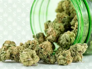 California’s $8.4B Cannabis Taxes: Delivery Business Signal