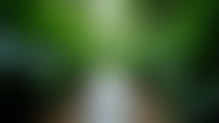 Why Choose Better Me Belize for Wellness?