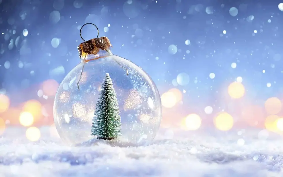 PLG Oh Christmas Tree