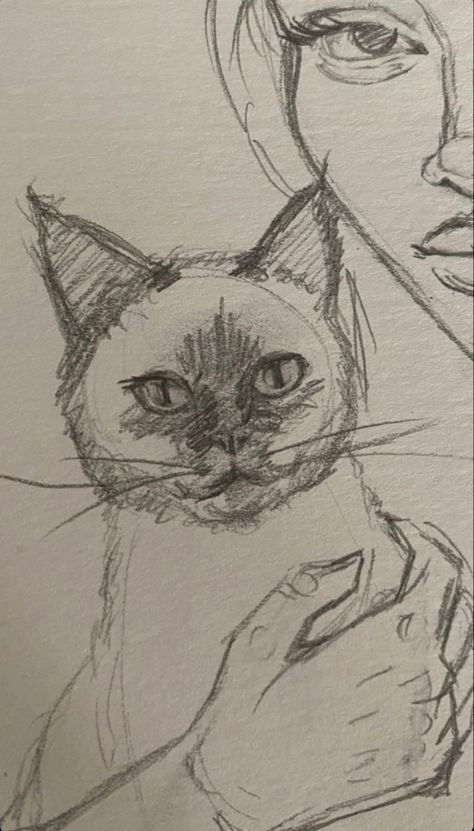 "Hero Cat" dies after saving children from brown snake in Queensland