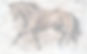 R (5)_edited.jpg