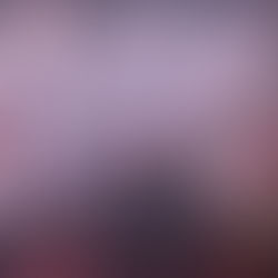 Seeing My Favourite Band of All Time in Another Country