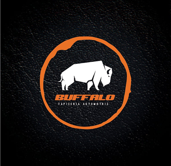 buffalo_Mesa de trabajo 2.jpg