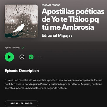 spotify capture.JPG