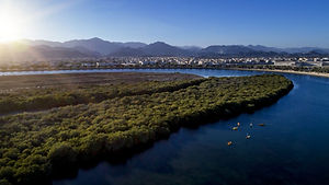 Sharjah Mangrove.jpg