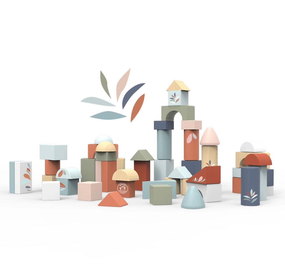 Thumbnail: Building Blocks (50 Pieces)