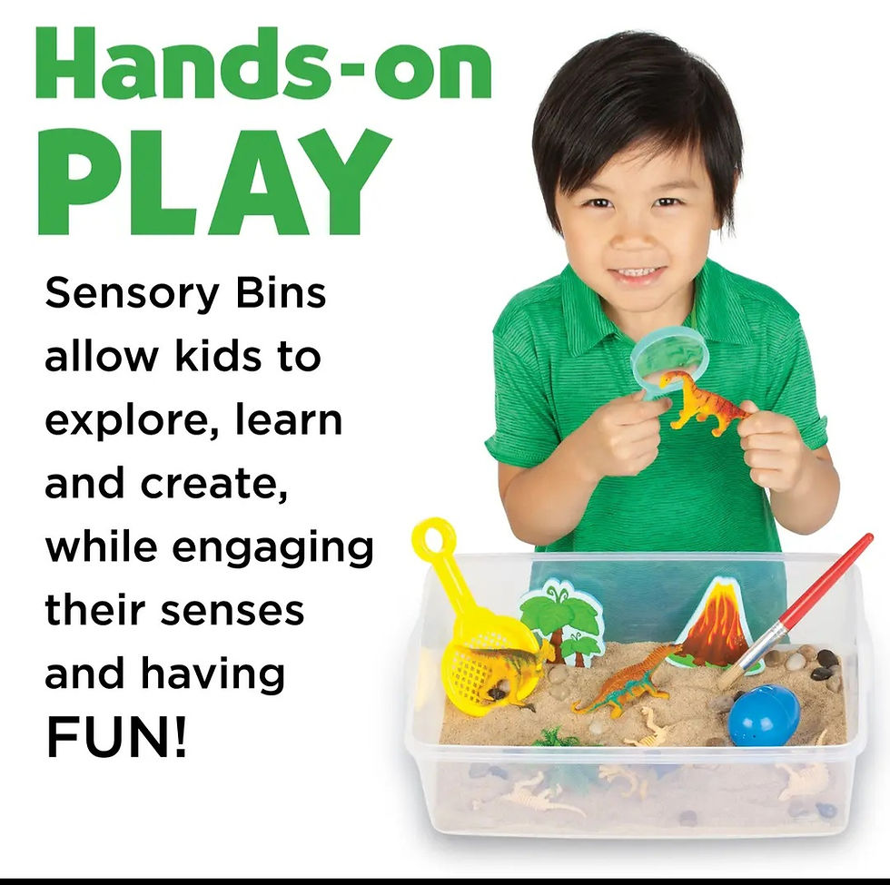 Thumbnail: Dinosaur Sensory Bin 