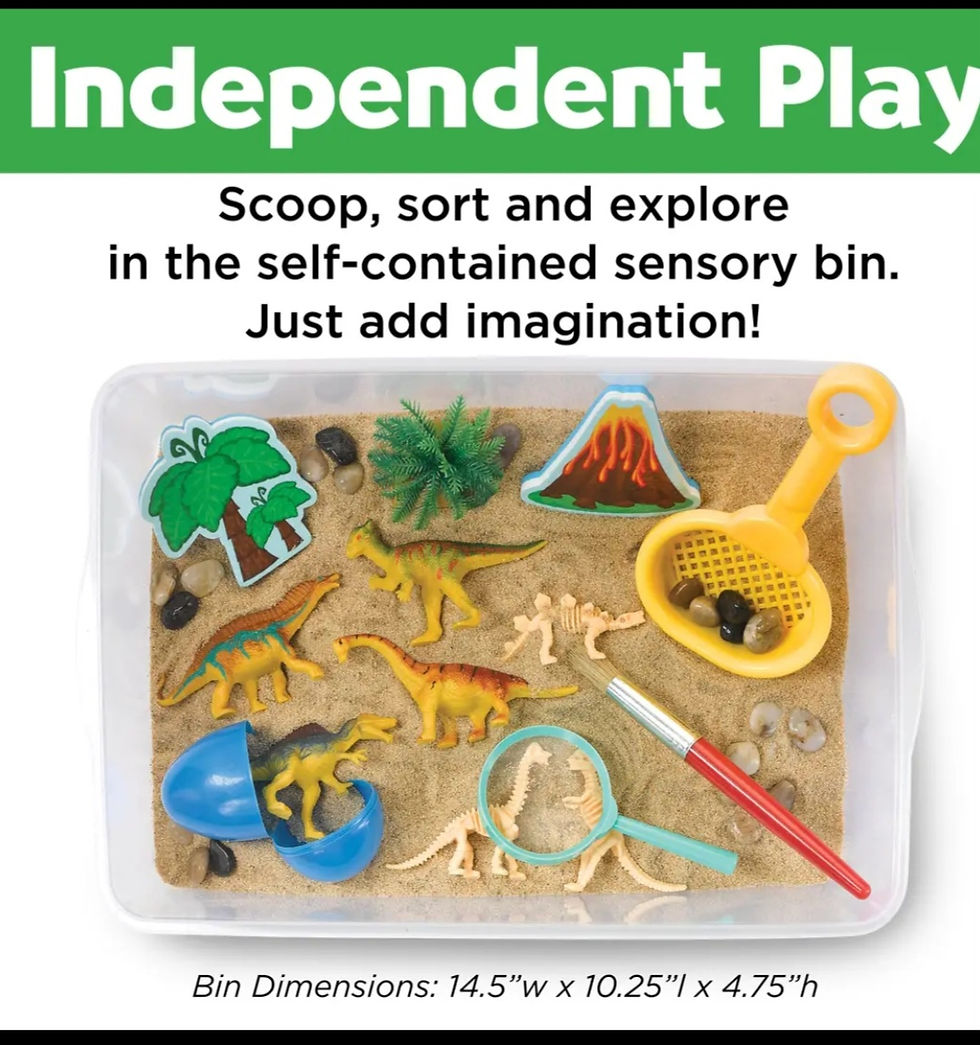 Thumbnail: Dinosaur Sensory Bin 