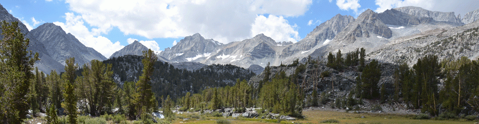 MLCA website brackground photo.gif