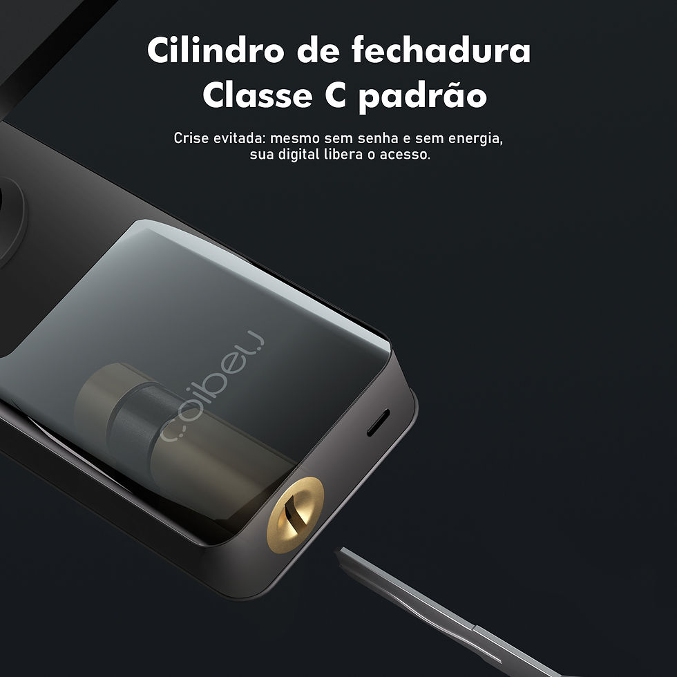 Miniatura: Fechadura eletrônica