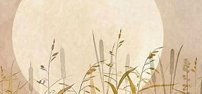 Lune roseau_edited.jpg