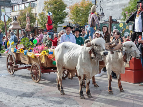 Desfile de Carretas é atração na 35ª Festa da Colônia de Gramado neste sábado