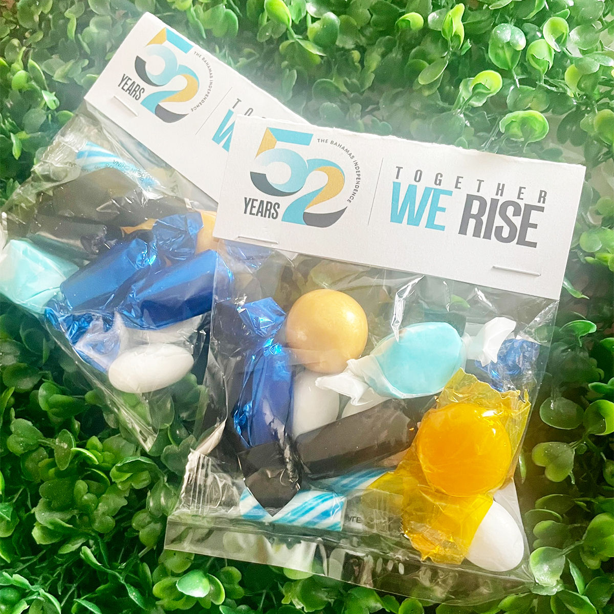 Independence Sampler