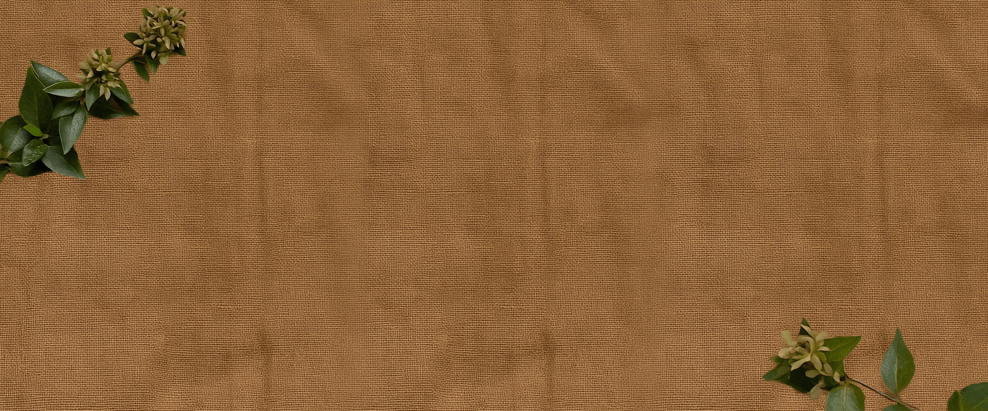 Website Banner GIF.gif