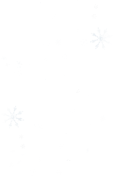 Template-Christmas2024WebsiteBanner-1920X3000-VrL-24-10-2024-V01-whiteBG- - 94946.gif