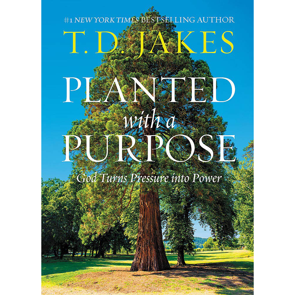 Planted with a Purpose: God Turns Pressure into Power