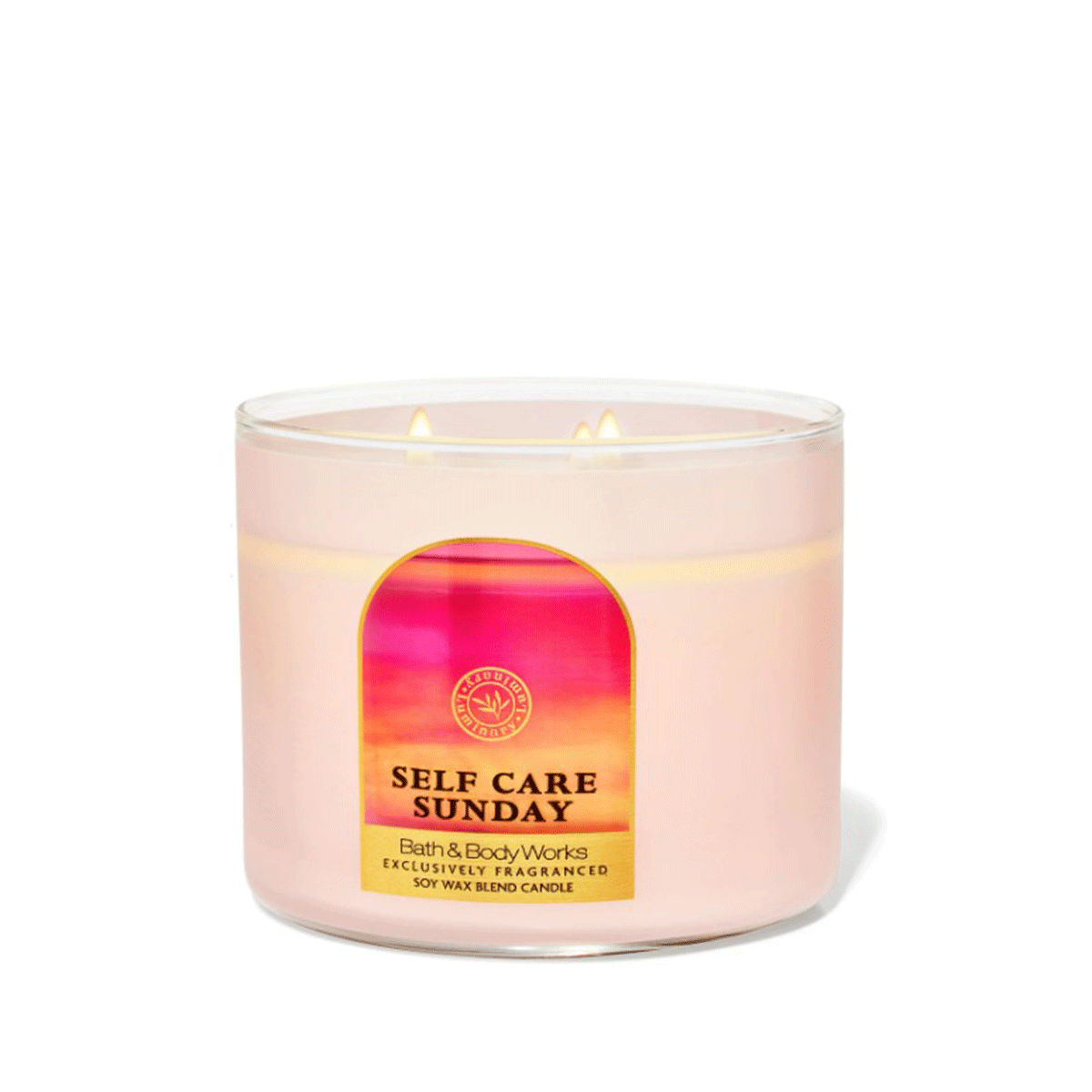 Bath and Body Works Self Care Sunday 3- Wick Candle