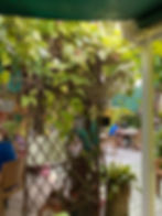 Sweet Sage inner courtyard, Redington Beach, Florida