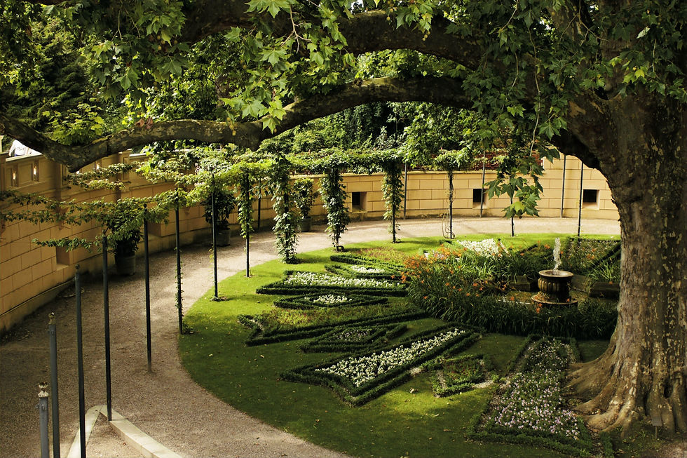 Serene garden with a large tree, patterned flower beds, and a bubbling fountain. Lush green foliage and a beige stone wall background. Promise land.