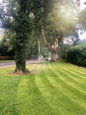 image6 (1).jpeg
