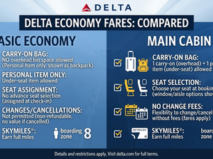 What Is Delta's Main Basic Economy?