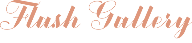 ギャラリー.png