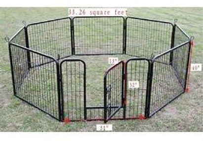 Prairie Dog Play Pen Add Plexiglass