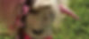 bgImage