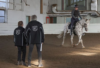 Pyx dressage