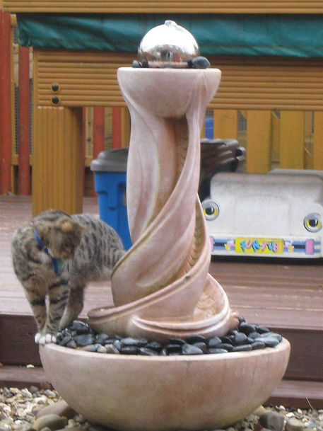 original?tenant=vbu-digital